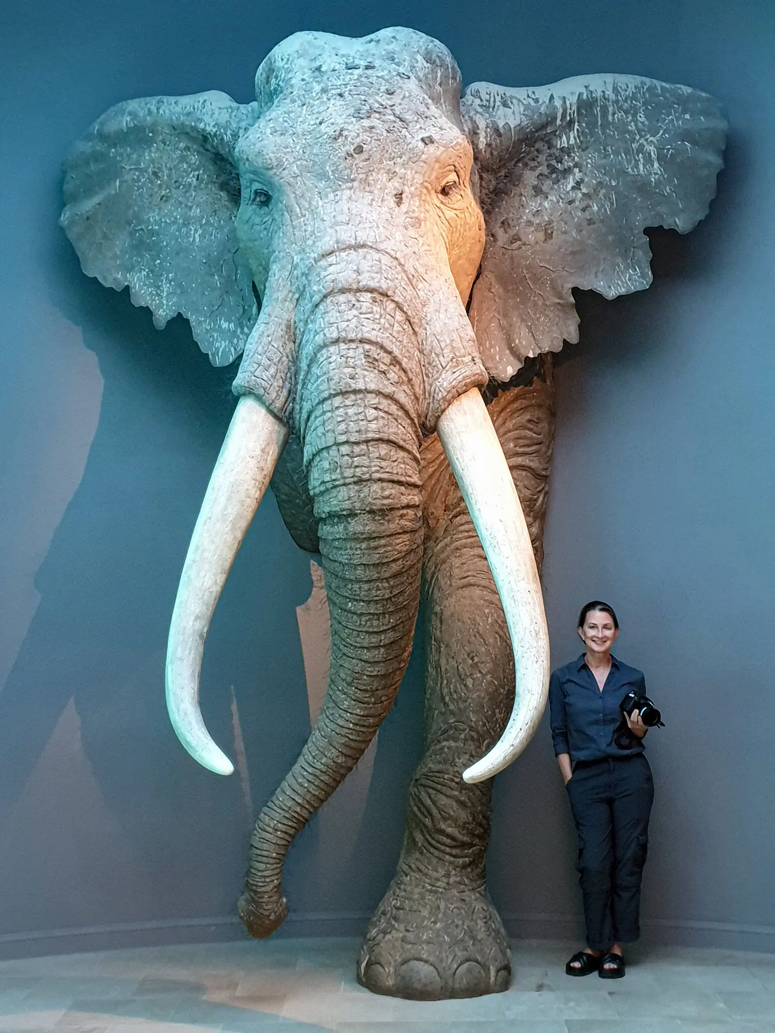 02SCI-NEANDERTHAL-01-fzbp-superJumbo