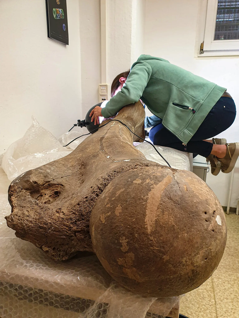 02SCI-NEANDERTHAL-02-fzbp-superJumbo
