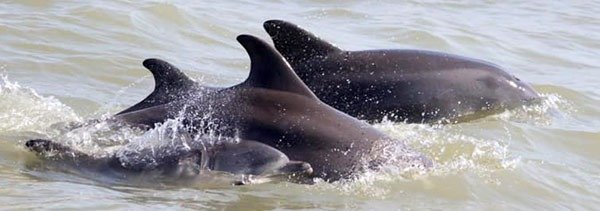 240112141037290-6708