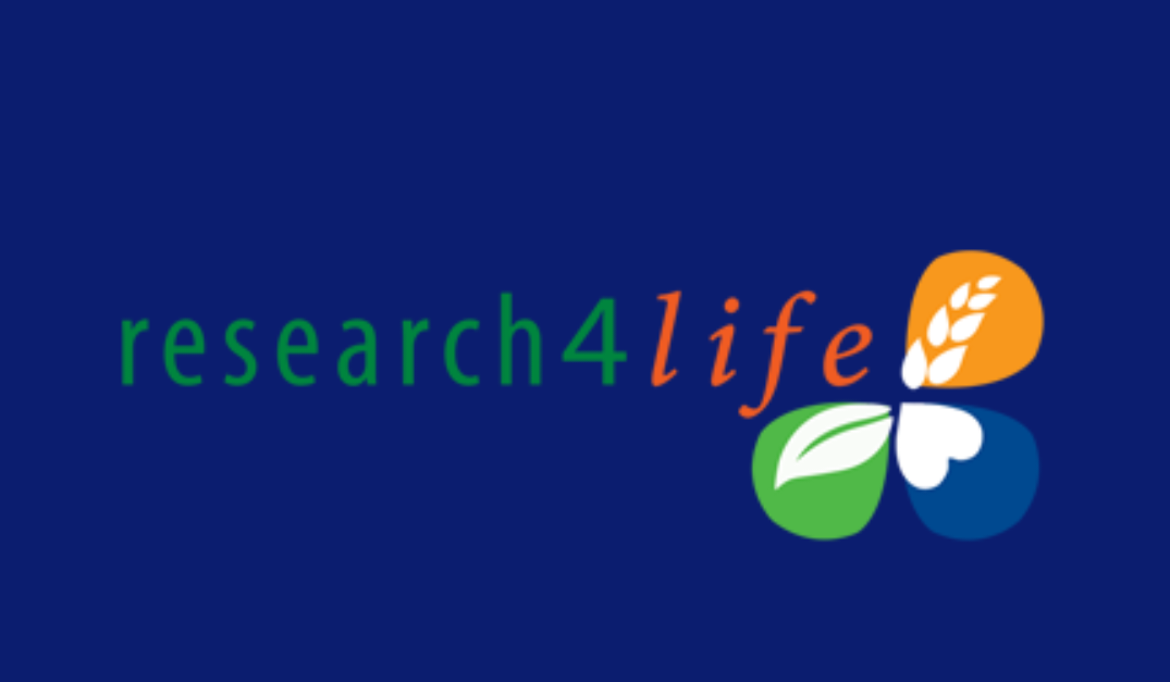 Adobe_Express_20231025_1452480_1