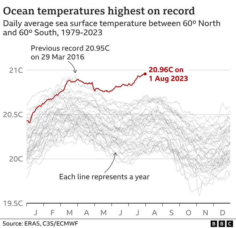 _130630616_era_5_global_sea_temp_lines-nc.png